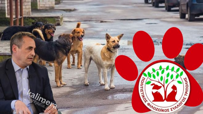 &Alpha;&delta;έ&sigma;&pi;&omicron;&tau;&alpha; | &Lambda;ύ&sigma;&eta; &sigma;&epsilon; &sigma;&upsilon;&nu;&epsilon;&rho;&gamma;&alpha;&sigma;ί&alpha; &mu;&epsilon; &tau;&omicron;&nu; &phi;&iota;&lambda;&omicron;&zeta;&omega;&iota;&kappa;ό &laquo;&tau;&rho;έ&chi;&epsilon;&iota;&raquo; &omicron; &nu;έ&omicron;&sigmaf; &Delta;ή&mu;&alpha;&rho;&chi;&omicron;&sigmaf; &Kappa;. &Tau;&zeta;&iota;&omicron;ύ&mu;&eta;&sigmaf;!