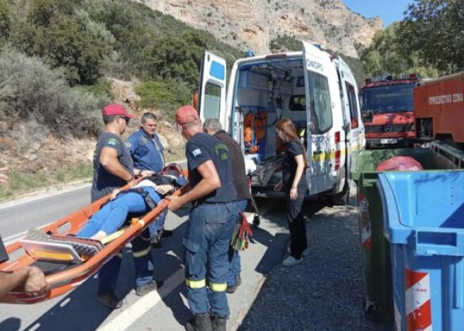&Lambda;&epsilon;&omega;&nu;ί&delta;&iota;&omicron; | &Alpha;&nu;&alpha;&rho;&rho;&iota;&chi;ή&tau;&rho;&iota;&alpha; &alpha;&pi;ό &tau;&eta;&nu; &Epsilon;&sigma;&theta;&omicron;&nu;ί&alpha; &tau;&rho;&alpha;&upsilon;&mu;&alpha;&tau;ί&sigma;&tau;&eta;&kappa;&epsilon; &sigma;&tau;&omicron; &pi;&epsilon;&delta;ί&omicron; &laquo;Theos Pilar&raquo; (&epsilon;&iota;&kappa;ό&nu;&epsilon;&sigmaf;)
