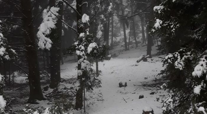 Υπέροχο το χειμωνιάτικο Μαίναλο ... ντυμένο στα λευκά! (εικόνες)