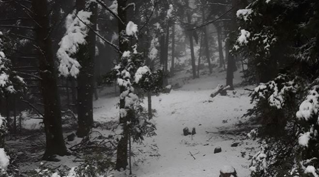 Υπέροχο το χειμωνιάτικο Μαίναλο ... ντυμένο στα λευκά! (εικόνες)