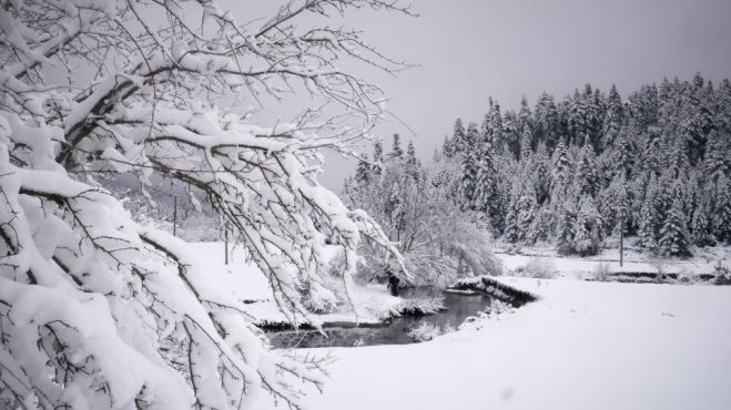 Ό&lambda;&alpha; &tau;&alpha; &kappa;&alpha;&iota;&rho;&iota;&kappa;ά &phi;&alpha;&iota;&nu;ό&mu;&epsilon;&nu;&alpha; &tau;&omicron;&upsilon; 2018 &sigma;&epsilon; έ&nu;&alpha; &beta;ί&nu;&tau;&epsilon;&omicron; (vd)