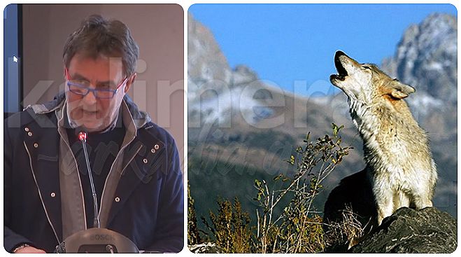 SOS &alpha;&pi;ό &Rho;&omicron;&upsilon;&mu;&epsilon;&lambda;&iota;ώ&tau;&eta; | &laquo;&Alpha;&nu;&epsilon;&xi;έ&lambda;&epsilon;&gamma;&kappa;&tau;&eta; &alpha;&pi;&epsilon;&lambda;&epsilon;&upsilon;&theta;έ&rho;&omega;&sigma;&eta; &lambda;ύ&kappa;&omega;&nu; &sigma;&tau;&eta;&nu; &omicron;&rho;&epsilon;&iota;&nu;ή &Alpha;&rho;&kappa;&alpha;&delta;ί&alpha; &ndash; &Phi;&omicron;&beta;ά&mu;&alpha;&iota; &epsilon;&pi;&iota;&theta;έ&sigma;&epsilon;&iota;&sigmaf; &alpha;&kappa;ό&mu;&alpha; &kappa;&alpha;&iota; &epsilon;&nu;&alpha;&nu;&tau;ί&omicron;&nu; &alpha;&nu;&theta;&rho;ώ&pi;&omega;&nu;&raquo;