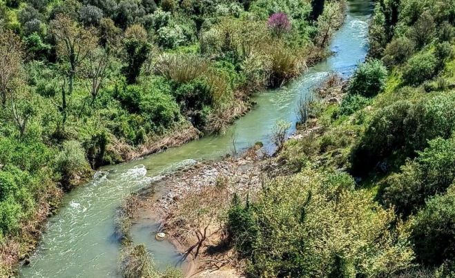 &Kappa;&alpha;&rho;ύ&tau;&alpha;&iota;&nu;&alpha; | 1.000 &pi;&omicron;&lambda;ί&tau;&epsilon;&sigmaf; &alpha;&nu;&tau;&iota;&delta;&rho;&omicron;ύ&nu; &gamma;&iota;&alpha; &tau;&omicron; &upsilon;&delta;&rho;&omicron;&eta;&lambda;&epsilon;&kappa;&tau;&rho;&iota;&kappa;ό &sigma;&tau;&omicron;&nu; &Alpha;&lambda;&phi;&epsilon;&iota;ό &ndash; &Mu;έ&tau;&omega;&pi;&omicron; &kappa;&alpha;&iota; &kappa;&alpha;&tau;ά &tau;&omega;&nu; &phi;&alpha;&rho;&alpha;&omega;&nu;&iota;&kappa;ώ&nu; &Alpha;&Pi;&Epsilon;