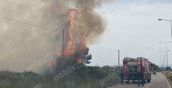 Μεγάλη φωτιά πλησίον της Ε.Ο. Πύργου – Πατρών