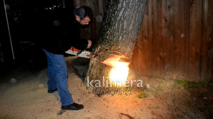 Κόπηκε επικίνδυνο δένδρο για να μην σκοτώσει κανέναν στην Τρίπολη (εικόνες – βίντεο)!
