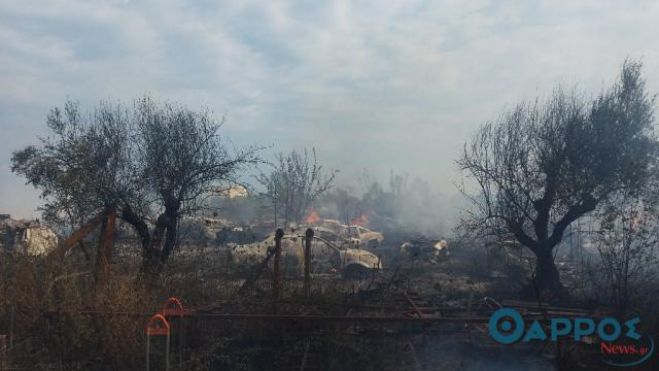 Μεγάλη φωτιά δίπλα σε επιχειρήσεις στη Μεσσηνία (vd)