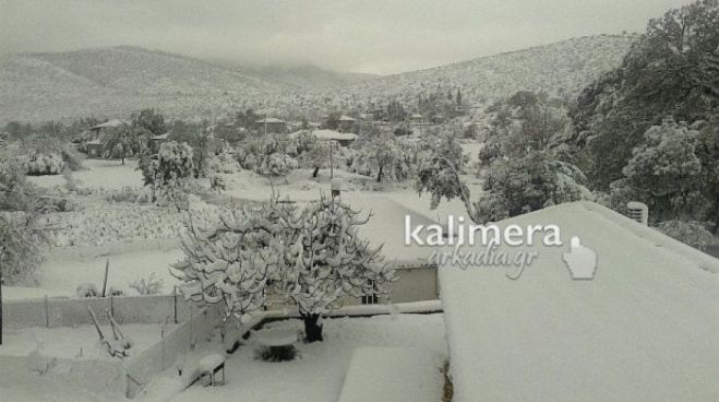 Νέο κύμα κακοκαιρίας ... ξαναφέρνει τον χιονιά στην Αρκαδία!
