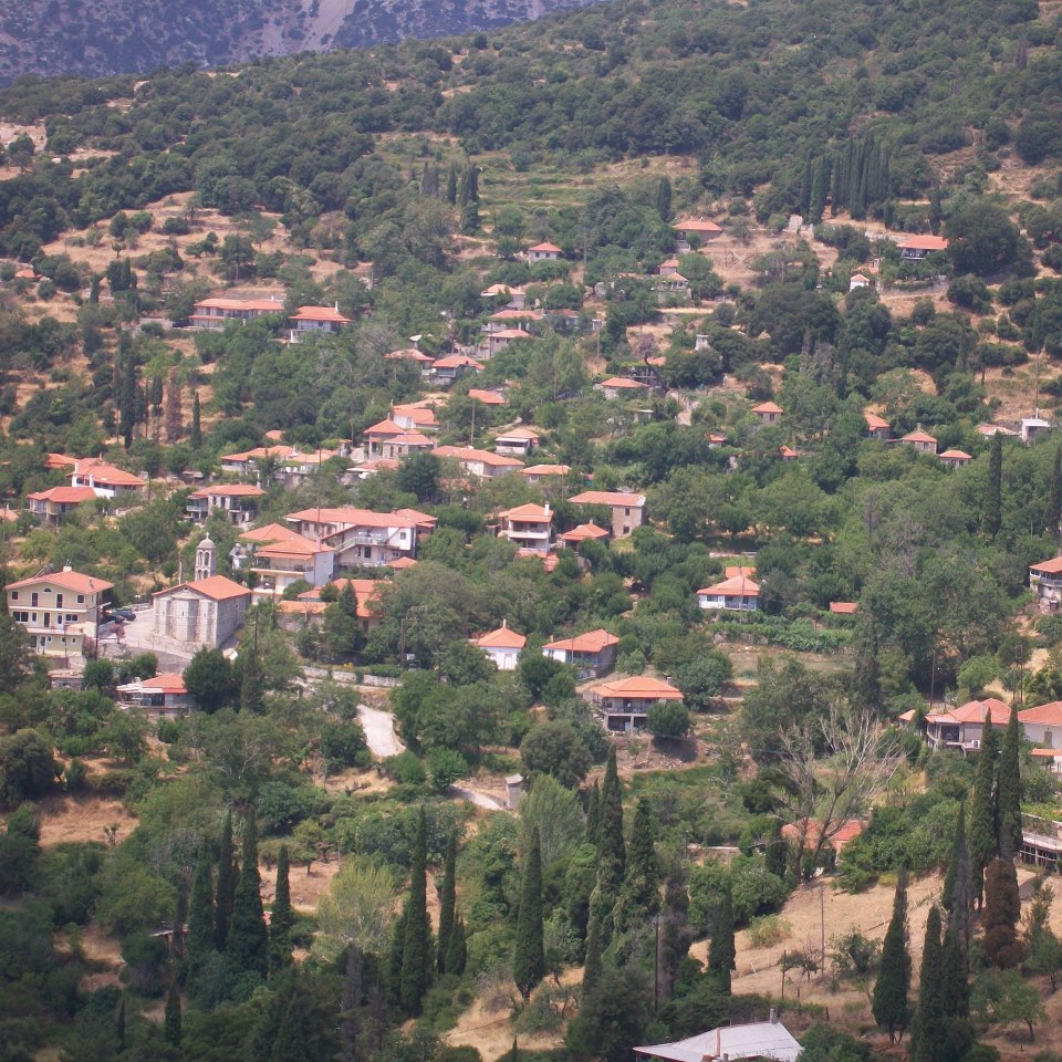&Epsilon;&omicron;&rho;&tau;&alpha;&sigma;&tau;&iota;&kappa;έ&sigmaf; &epsilon;&kappa;&delta;&eta;&lambda;ώ&sigma;&epsilon;&iota;&sigmaf; &sigma;&tau;&eta;&nu; &kappa;&omicron;&iota;&nu;ό&tau;&eta;&tau;&alpha; &Beta;ά&sigma;&tau;&alpha; &Mu;&epsilon;&gamma;&alpha;&lambda;ό&pi;&omicron;&lambda;&eta;&sigmaf;