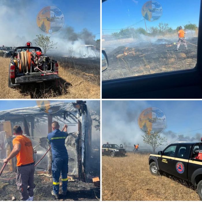 &Upsilon;&pi;ό έ&lambda;&epsilon;&gamma;&chi;&omicron; &eta; &phi;&omega;&tau;&iota;ά &sigma;&tau;&eta;&nu; &Tau;&epsilon;&gamma;έ&alpha;