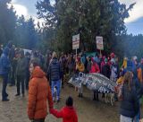 ΜέΡΑ25: "Ο Πάρνωνας δεν θα γίνει τσιμέντο και ανεμογεννήτριες"