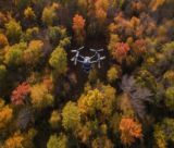 Έκκληση της οικογένειας για drones με θερμικές κάμερες στη Γορτυνία | Στην 5η ημέρα οι έρευνες για τον εξαφανισμένο Αλέξιο Κούτρο