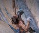 Leonidio Climbing Festival 2026 | Πρωταγωνιστής ο θρυλικός αναρριχητής Chris Sharma!