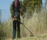 Ακαθάριστα Οικόπεδα | Λήγει η προθεσμία στις 15 Ιουνίου. Υψηλά τα πρόστιμα