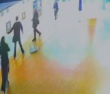 Το κόμμα "Νίκη" διαγράφει τον βουλευτή Παπαδόπουλο μετά το επεισόδιο στην Εθνική Πινακοθήκη και του ζητά ... να επιστρέψει την έδρα!