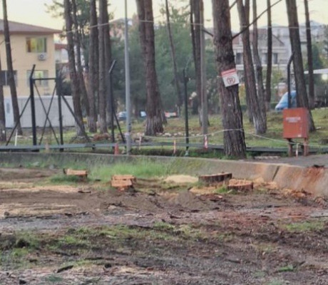 Για "άρση επικινδυνότητας" η κοπή δέντρων στο Παναρκαδικό Νοσοκομείο