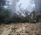 Η Πρωτοβουλία για την Προστασία του Κοσμά καταγγέλλει απειλή από φύλακα: «Έχω γυρίσει από κυνήγι, έχω την καραμπίνα, θέλετε να σκοτωθούμε βραδιάτικα;»