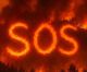 SOS για το πευκοδάσος του Λεβιδίου