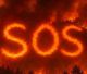 SOS για το πευκοδάσος του Λεβιδίου