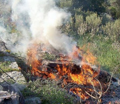Πυροσβεστική | Πρόστιμο 1.185 € σε πολίτη για καύση ξηρών χόρτων σε υπαίθριο χώρο