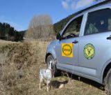 Εκδήλωση της Κυνηγετικής Ομοσπονδίας Πελοποννήσου για την κοπή της πρωτοχρονιάτικης πίτας