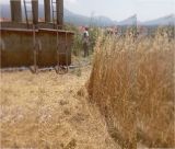 Εργασίες καθαρισμού στο χωριό Πυρί Γορτυνίας (εικόνες)