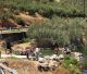 «Ρεκόρ» λουόμενων στη λίμνη Μουστού!