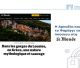 Η Αρκαδία και το Φαράγγι του Λούσιου στο στη Le Monde