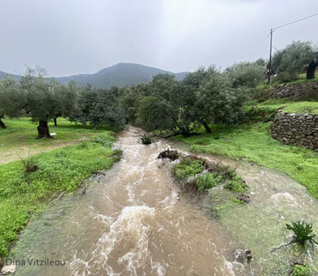 Άφθονο νερό στο ρέμα της Μάνας στα Πούλιθρα Κυνουρίας (vd)