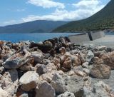 Μην "αγαπάτε" τόσο πολύ το Λεωνίδιο