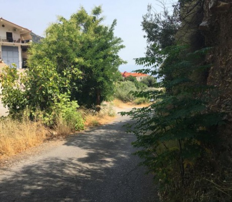 Ελλιπής φωτισμός - Άκοπα χόρτα και θάμνοι στη Δημοτική Ενότητα Τυρού