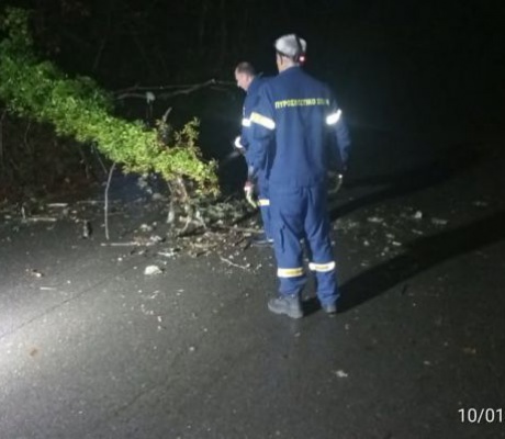 Ισχυροί άνεμοι ξερίζωσαν δένδρο τη νύχτα στον Άγιο Πέτρο - Έκλεισε για λίγο ο δρόμος προς την Τρίπολη - Άμεση επέμβαση από την Πυροσβεστική