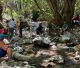 Θεόκτιστο Γορτυνίας | Ημέρα Πικ Νικ στην πηγή Μαγγάνι (vd)