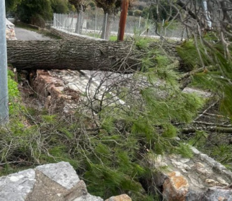 Κακοκαιρία | Ζημιές σε κατοικίες στο Ελληνικό Γορτυνίας (vd)