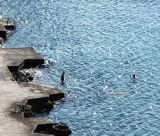 Ναύπλιο | Υποδέχθηκαν το 2026 με βουτιές στη θάλασσα!