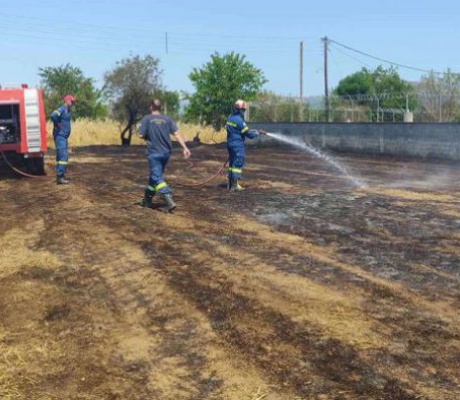 Φωτιά στο Τζίβα - Έγκαιρη επέμβαση Πυροσβεστικής και Δήμου Τρίπολης