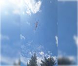 Μαινάλο | Περιορίστηκε η φωτιά, παραμένουν μικροεστίες - Σε επιφυλακή η πυροσβεστική (vd)
