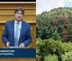 Βουλή | Απαντήσεις ζητά ο Γιαννακούρας για τη ξήρανση ελάτων σε Μαίναλο και Πάρνωνα