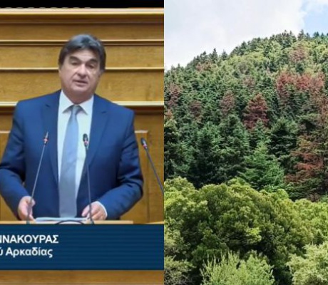 Βουλή | Απαντήσεις ζητά ο Γιαννακούρας για τη ξήρανση ελάτων σε Μαίναλο και Πάρνωνα