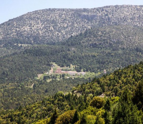 Πάρνωνας - Κεδρόδασος Μαλεβής | "Δεν έχουν γίνει εργασίες καθαρισμού στους δρόμους" - Από το 2022 αναπάντητο το αίτημα για υπογειοποίηση δικτύου