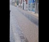 Ισχυρή καταιγίδα στην Τρίπολη - Πλημμυρικά φαινόμενα σε δρόμους (vd)