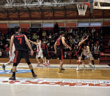 Ανώτερη η Παναχαϊκή, κέρδισε εύκολα τον Πήγασο (εικόνες)