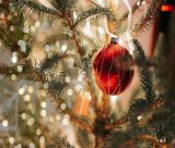 Κάλεσμα για το άναμμα του Χριστουγεννιάτικου Δένδρου στη Μεγαλόπολη!