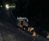 Κατολίσθηση στον δρόμο Άστρους – Λεωνιδίου | Άμεση επέμβαση από τον Αντιδήμαρχο Καμβύση και καθαρισμός στο σημείο! (εικόνες)