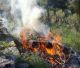 Δήμος Νότιας Κυνουρίας | Ανακοίνωση για παράταση απαγόρευσης χρήσης πυρός