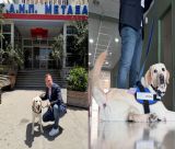 Έπιασε δουλειά» στο Νοσοκομείο Μεταξά ο πρώτος σκύλος θεραπείας του Ε.Σ.Υ. - Εντάσσεται ως σταθερός υγειονομικός «υπάλληλος»!