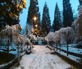 Καιρός | "Βουτιά" ξανά η θερμοκρασία στην Αρκαδία - Χιόνι το Σαββατοκύριακο στα ορεινά - Το σενάριο για χιονοπτώσεις από την Τρίτη στην Τρίπολη