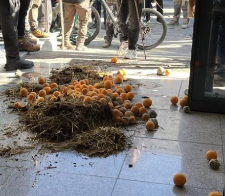 Αγρότες προχώρησαν σε συμβολική κατάληψη των γραφείων του ΕΛΓΑ στην Τρίπολη - Πέταξαν πορτοκάλια και σανό στην είσοδο! (vd)