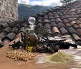 Δημητσάνα | Αισθητηριακή περιήγηση «Mindfulness» στο Υπαίθριο Μουσείο Υδροκίνησης