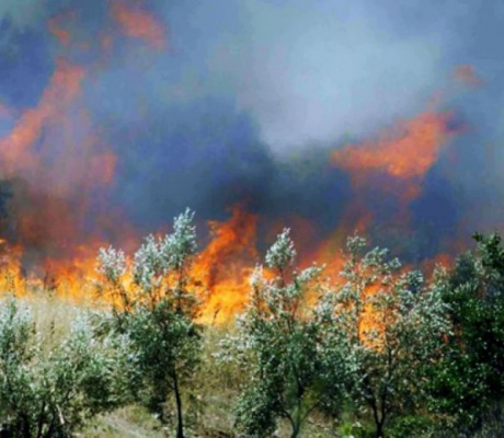 Παραμένει υψηλός κίνδυνος πυρκαγιάς την Τρίτη (15-07-2025) στη Γορτυνία