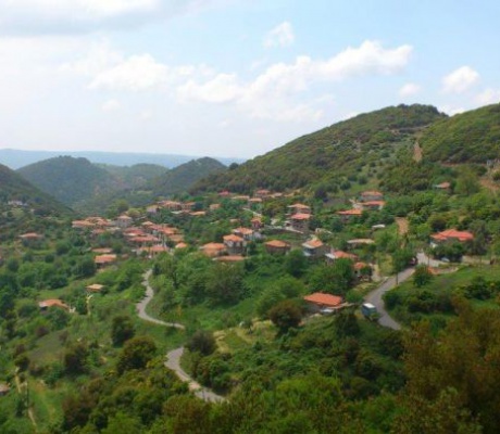 Παραιτήθηκε η Πρόεδρος της Δημοτικής Κοινότητας Καρδαριτσίου